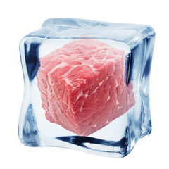 meat, beef in ice cube, isolated on white background, clipping path, full depth of field