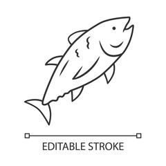Tuna linear icon. Swimming marine fish. Underwater inhabitant. Mackerel fishing. Seafood restaurant. Thin line illustration. Contour symbol. Vector isolated outline drawing. Editable stroke