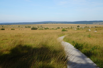Fototapeta premium Landscape of High Fens