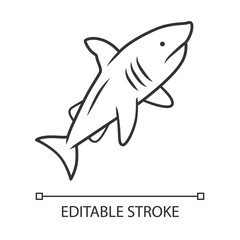 Fototapeta premium Shark linear icon. Dangerous ocean predator. Swimming fish. Underwater animal, ocean wildlife. Marine fauna. Thin line illustration. Contour symbol. Vector isolated outline drawing. Editable stroke