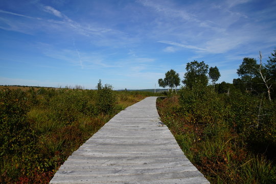 Landscape of High Fens