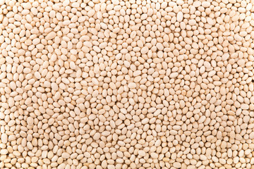 Top view on background texture of uncooked white beans. Copy space for your text.