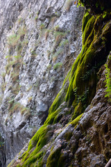 Fototapeta na wymiar water flowing over moss on vertical rock wall