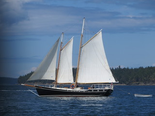Sail Boat