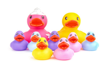 Family of rubber ducks, with parents on the background - concept of family togetherness