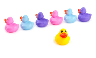 Rubber duck separating from other ducklings - concept of individualism