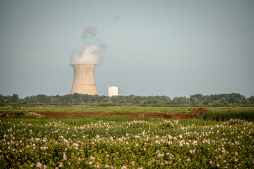 field with nuclear power plant