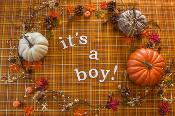 Baby Boy Fall Orange Plaid Background