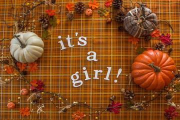 Baby Girl Announcement Fall Orange Plaid Background