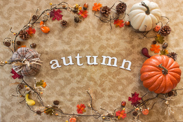 Autumn White Background