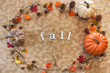 Fall White Background