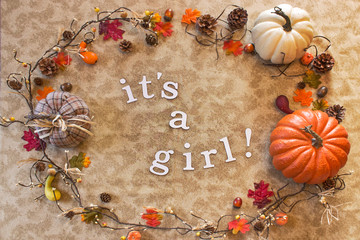 Baby Girl Announcement White Fall Background