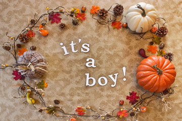 Baby Boy Announcement White Fall Background
