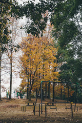 Naklejka premium Autumn leaves seen through the swing