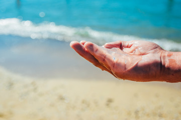 small transpatent jellyfish