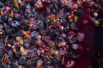 Wine-making. Technology of wine production. The folk tradition of making wine. Wine production in Moldova. The ancient tradition of grape processing.