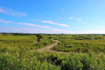 Fototapeta premium 晩夏 道 渡良瀬 風景 空 杤木