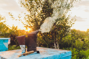 Beekeepers metal smoker smoking on the top of a beehive. The silver smoker has green bellows with...