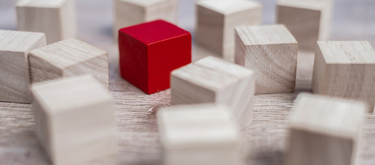Red cube block different from crowd of wood blocks. Unique Leader, strategy, independence, think different, business and success concept