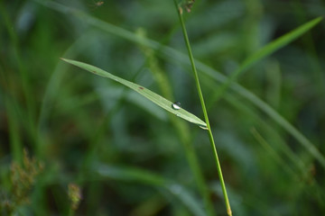 Beauty in the Nature