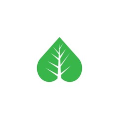 Tree leaf vector logo design, eco-friendly concept