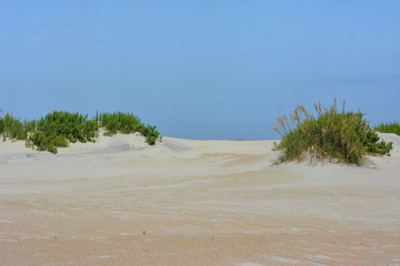 Sand dunes near the beach on the Outer Banks of North Carolina
