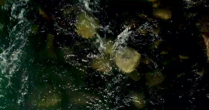 River drone fly up