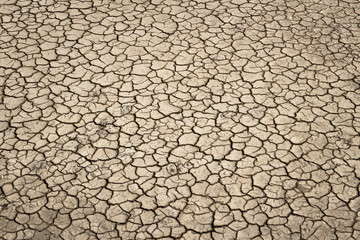 Drought concept: Cracked soil background