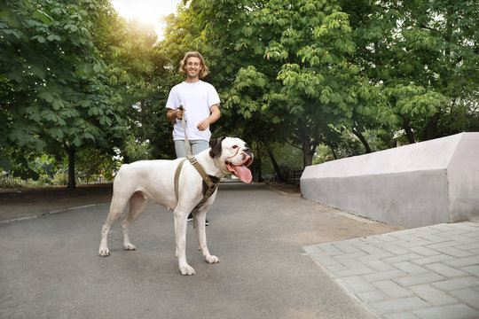 Young man with cute dog walking in park