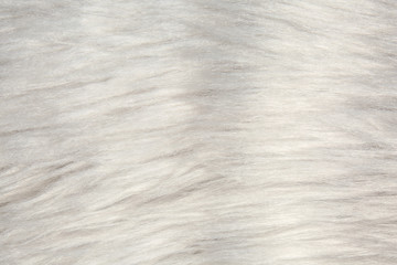 Light furry material as background