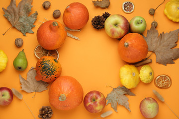 Autumn composition with pumpkins on color background