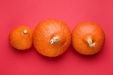 Fresh pumpkins on color background