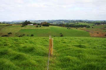 Following a fence-line across the hills near Dorrigo. Australia.