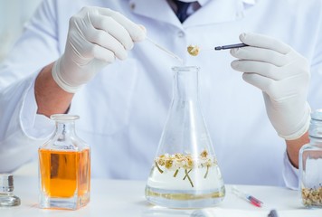 Chemist mixing perfumes in the lab