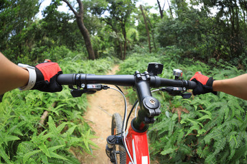 Cross country biking cyclist riding mountain bike on tropical rainforest trail