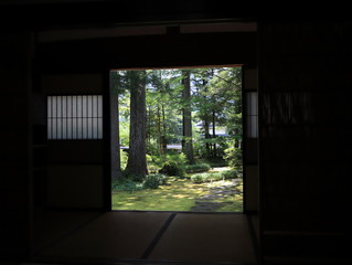 a Japanese garden