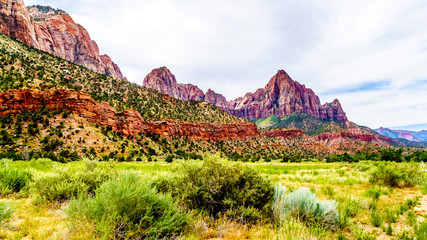 Fototapeta premium The Watchman mountain viewed from the Pa'rus Trail that meanders along and over the Virgin River in Zion National Park in Utah, USA