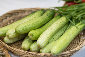 Cucumber basket on white background