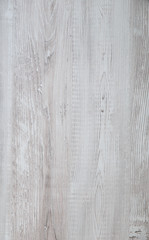 Wood texture. Wood texture for design and decoration. Color light gray. Fine texture, pattern. Light wood. Wooden background