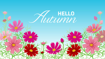 Cosmos flower frame - included words 