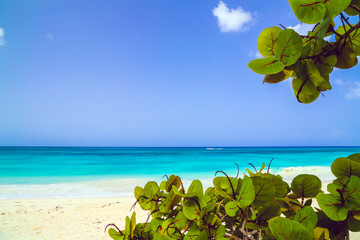 Landscape of paradise tropical island beach.