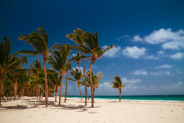 Obraz premium Landscape of paradise tropical beach .