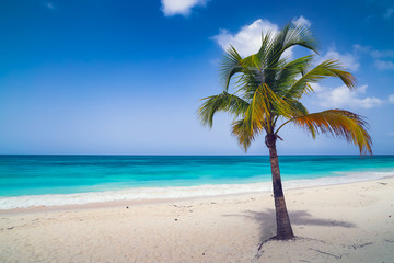 Obraz na płótnie Canvas Paradise beach.