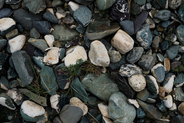 The texture of a shallow river stone. Pebble Background Image