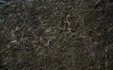 Texture of wet stone covered with moss. Background image of macro photography texture stone