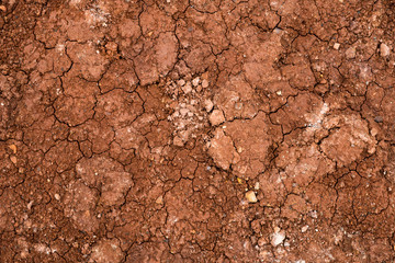 Texture of dried cracked clay. Macro background image of dried clay