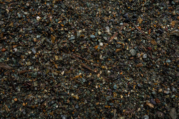 The texture of a shallow river stone. Pebble Background Image