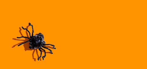 Halloween black spider - overhead view flat lay