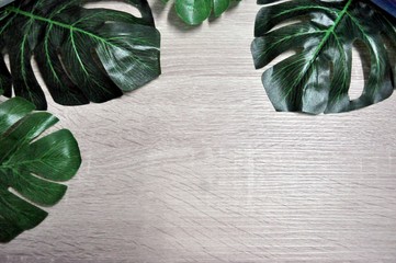 The natural background image has beautiful beech wood and green leaves.