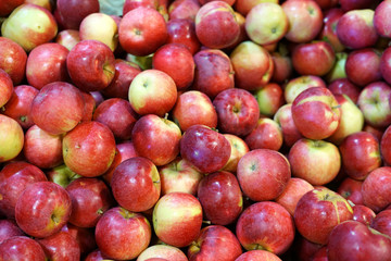Fototapeta na wymiar Fresh picked red honey crispy apples background in the harvest season